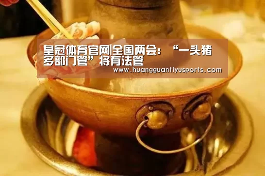 皇冠体育官网|全国两会：“一头猪多部门管”将有法管