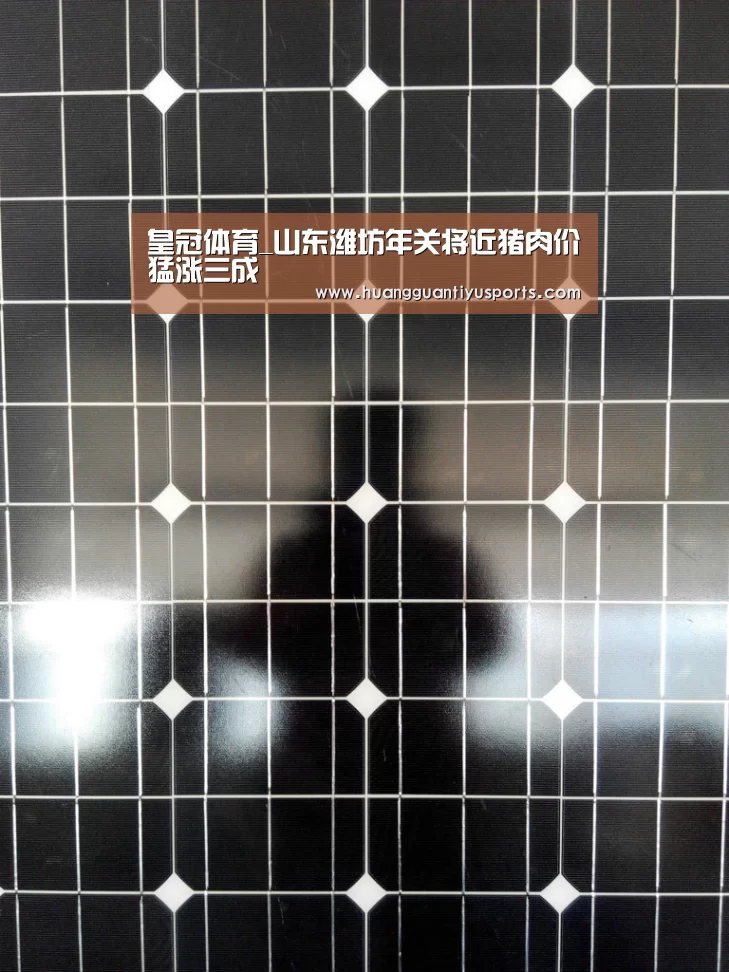 皇冠体育官网
