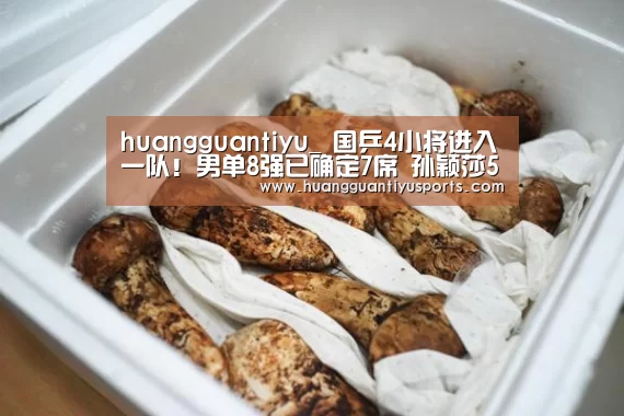huangguantiyu_
国乒4小将进入一队!男单8强已确定7席 孙颖莎5个局点遭逆转(图3) 皇冠体育官网
