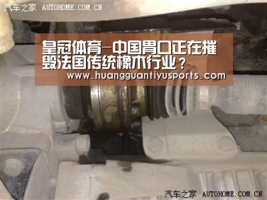 皇冠体育-中国胃口正在摧毁法国传统橡木行业?(图1) 皇冠体育