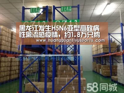 黑龙江发生H5N6亚型高致病性禽流感疫情,约1.8万只鹅死亡|huangguantiyu(图2) 皇冠体育官网