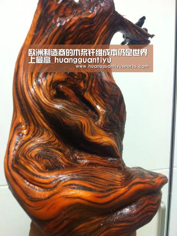 欧洲制造商的木浆纤维成本仍是世界上最高_huangguantiyu(图2) 欧洲制造商的木浆纤维成本仍是世界上最高_huangguantiyu(图2)