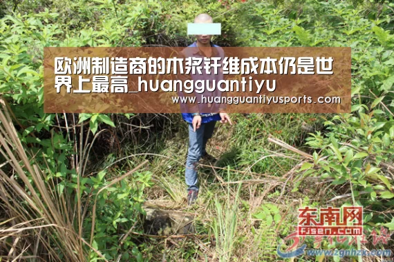 欧洲制造商的木浆纤维成本仍是世界上最高_huangguantiyu(图4) 皇冠体育网址