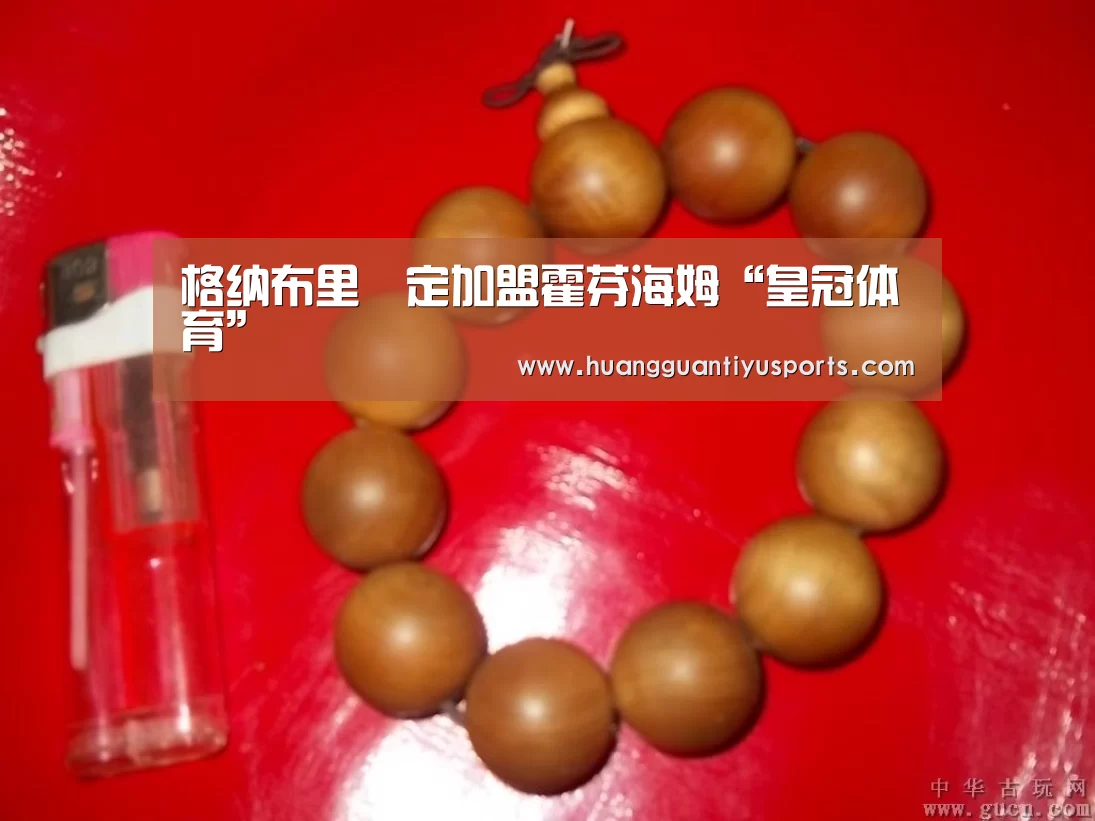 格纳布里決定加盟霍芬海姆“皇冠体育”(图4) 皇冠体育网址