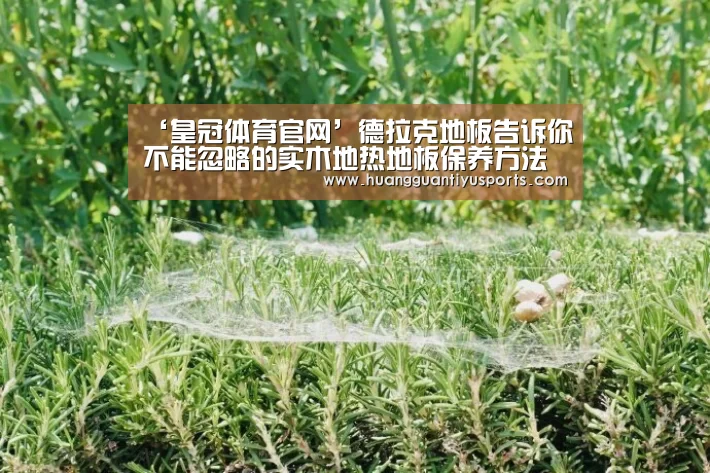‘皇冠体育官网’德拉克地板告诉你不能忽略的实木地热地板保养方法是什么?(图1) ‘皇冠体育官网’德拉克地板告诉你不能忽略的实木地热地板保养方法是什么?(图1)