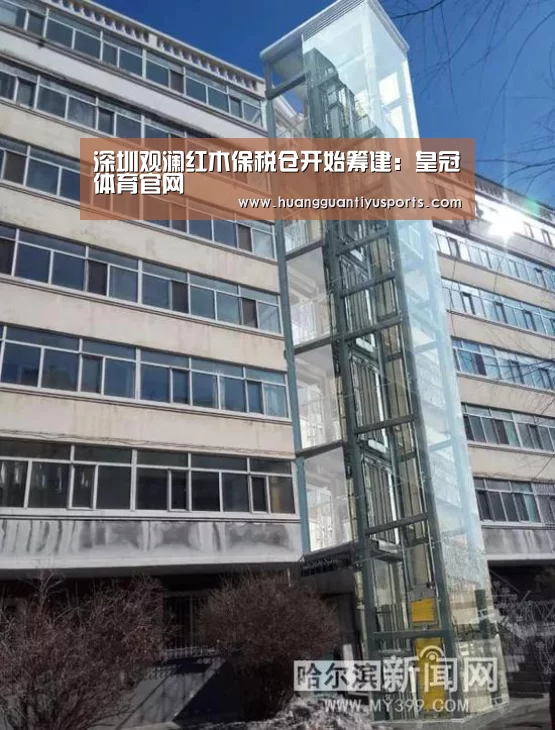 深圳观澜红木保税仓开始筹建:皇冠体育官网(图2) 深圳观澜红木保税仓开始筹建:皇冠体育官网(图2)