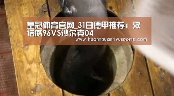 皇冠体育官网_31日德甲推荐:汉诺威96VS沙尔克04(图2) 皇冠体育