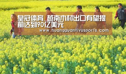 皇冠体育_越南木材出口有望提前达到90亿美元(图3) 皇冠体育_越南木材出口有望提前达到90亿美元(图3)