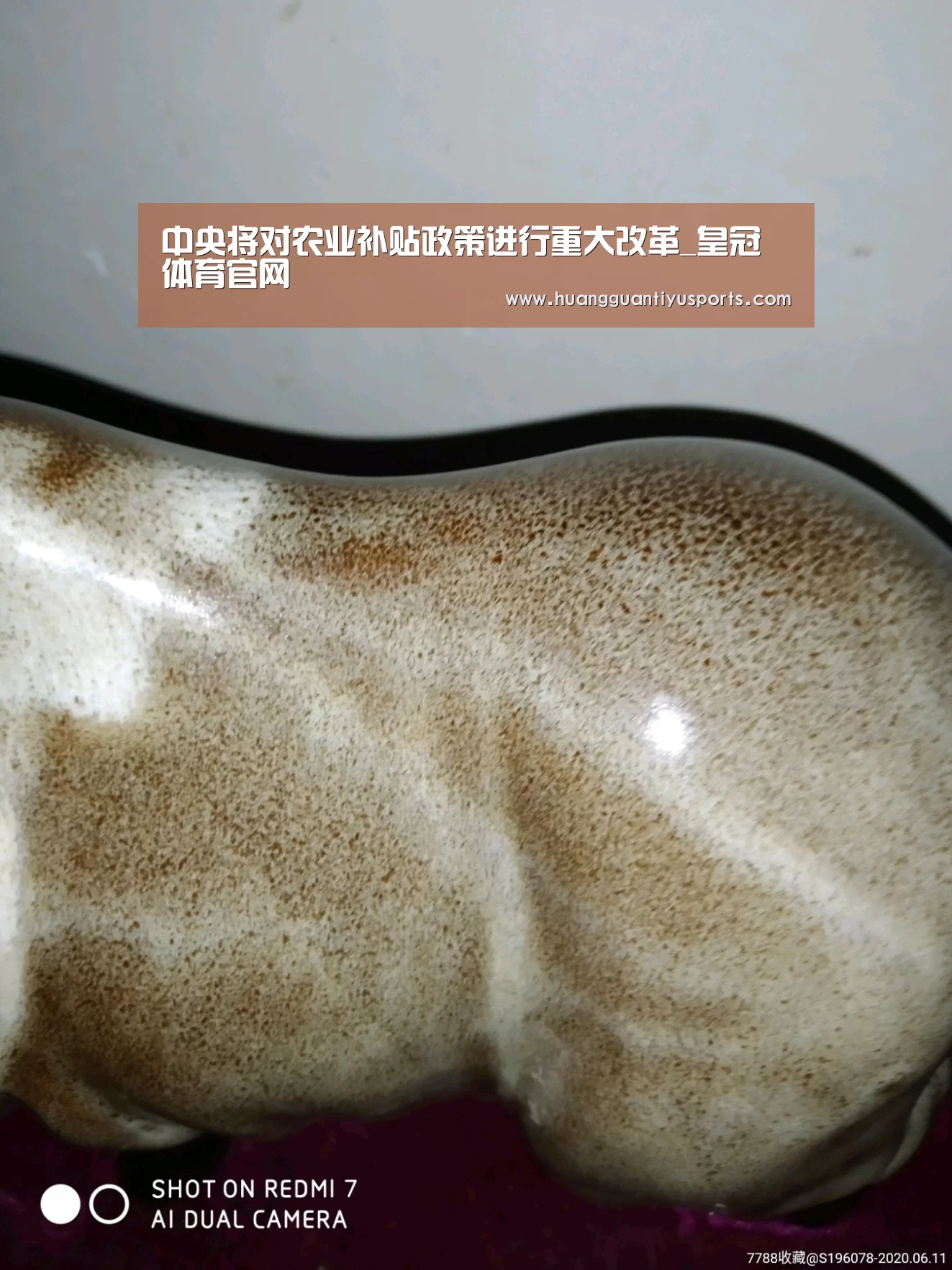 中央将对农业补贴政策进行重大改革_皇冠体育官网(图2) 皇冠体育官网