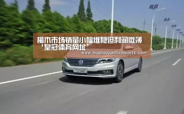 榆木市场销量小幅维稳但利润微薄‘皇冠体育网址’(图1) 皇冠体育